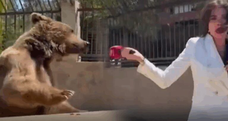 ayiyla roportaj yapan muhabir saldirinca kacti o anlar gundem oldu 118uiKU9