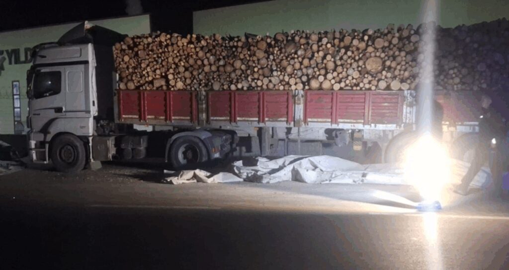 Brandayı toplayan TIR sürücüsüne otomobil çarptı