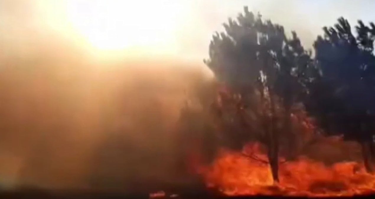 bursada ekipleri harekete geciren orman yangini gnUUPmpn