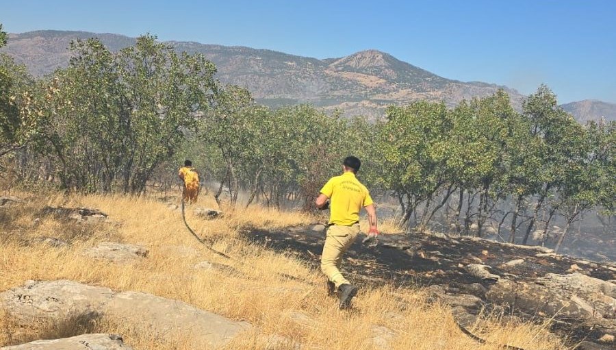 diyarbakirda orman ve ortu yangini htbfElqJ