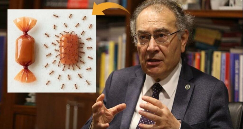 Kadınların isyanı rektöre geri adım attırdı