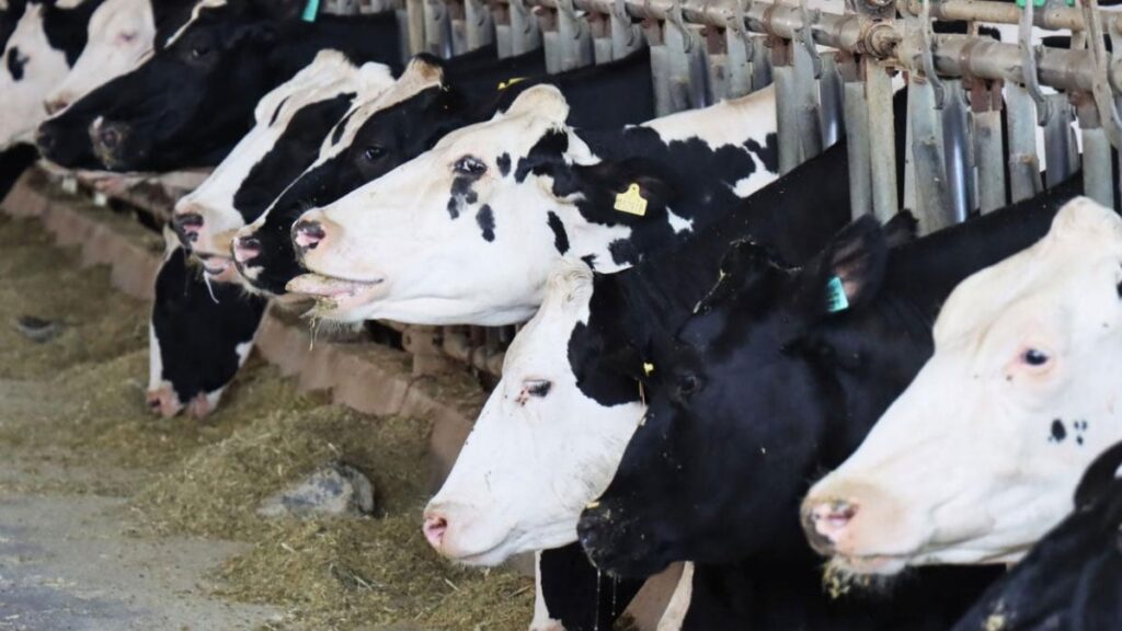 tuikten iyi haber artis yasanarak 17 milyonu gecti VnYSPsaE