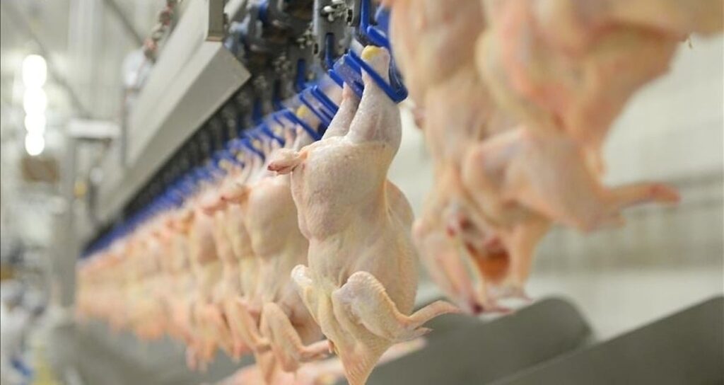 Türkiye’nin ünlü tavuk firmalarına milyonlarca dolarlık ceza