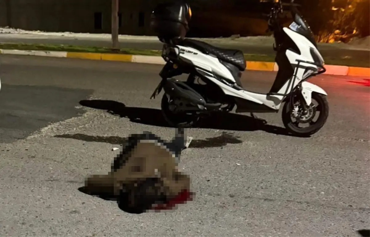 bicakli saldiri sanliurfada genc hayatini kaybetti pMkcpfBQ