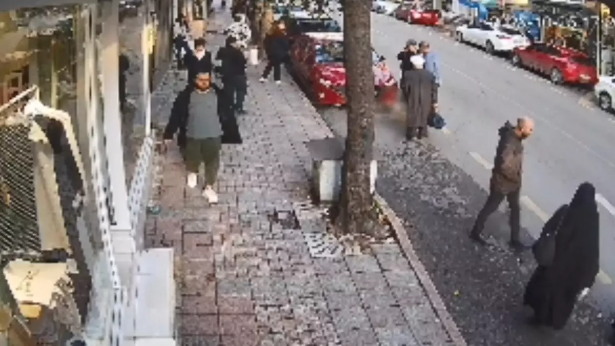 surucu kukiyi ezerek kacti PtFgVks3.jpg