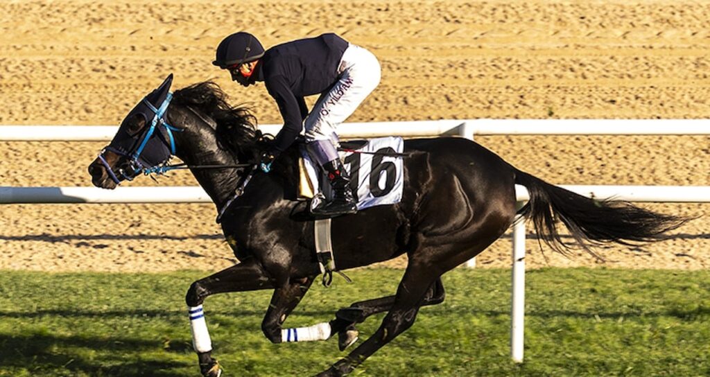 At yarışı sektörü “gizli vergi” tehdidi altında