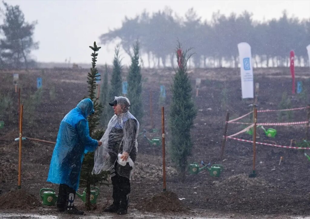 İzmir ve çevre illerde fidanlar toprakla buluştu