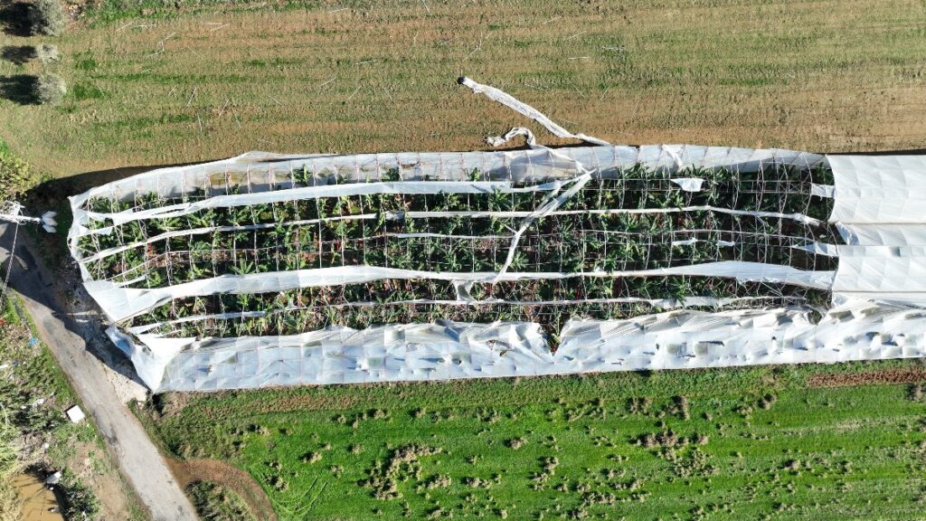 Antalya’da çıkan hortum seralara zarar verdi