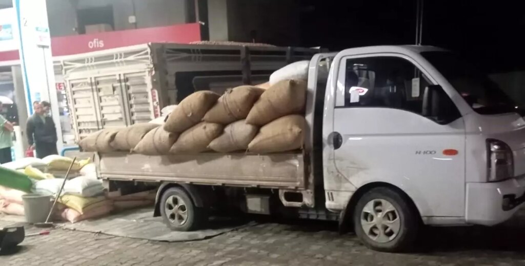 Fındık Fiyatları Alaplı’da Yükseliyor