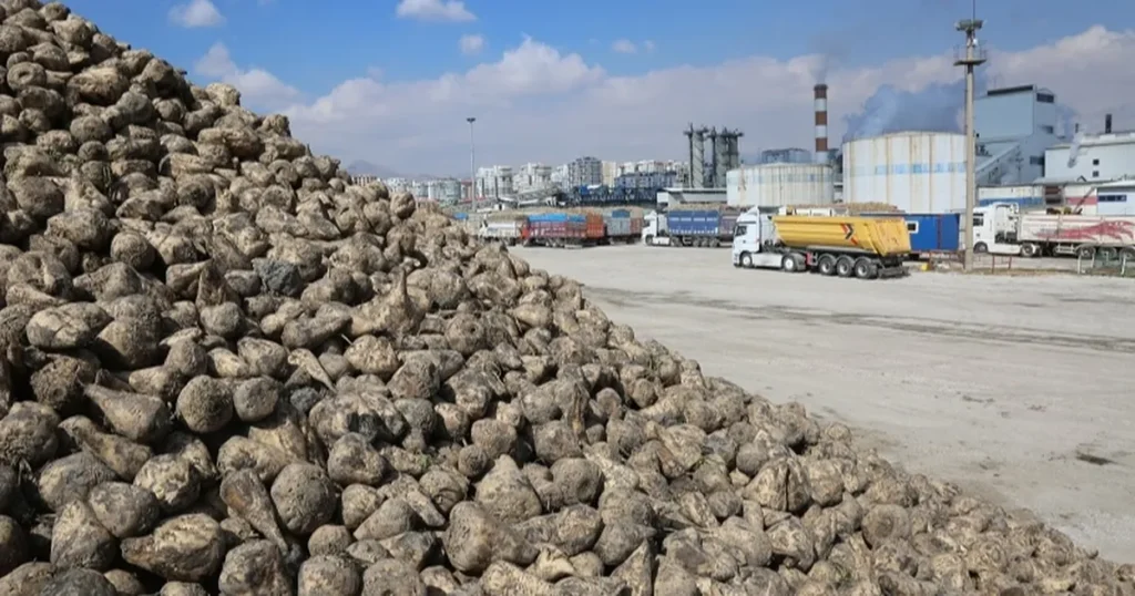 Konya Pancar Ekicileri bu yıl verimden memnun