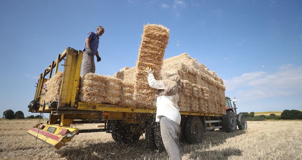 Kara gün dostu faiz batağında