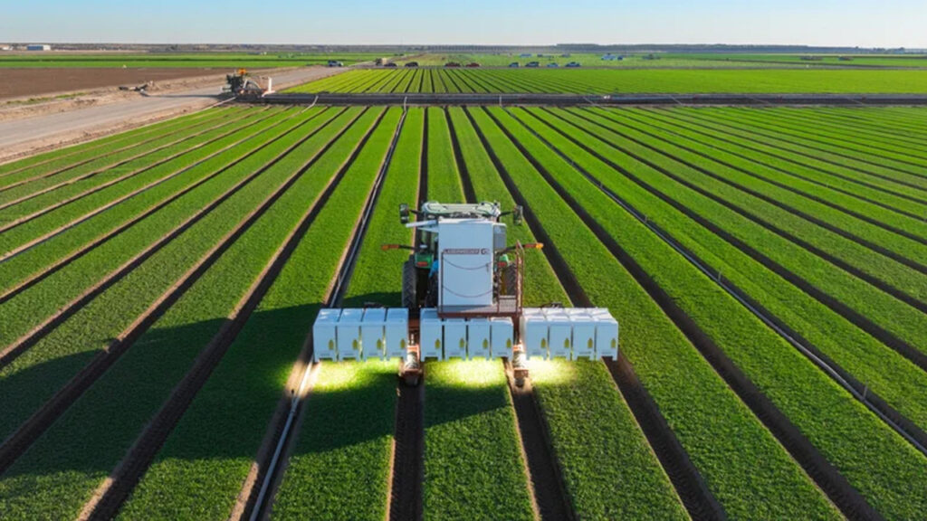 Tarlalarda lazerli nöbet: Yapay zeka yabani otları tek tek avlıyor